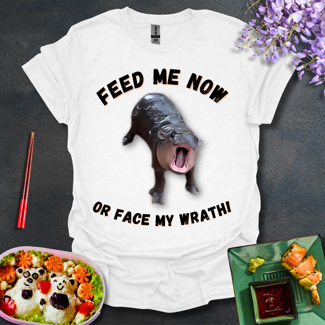 Face My Wrath! Softstyle T-Shirt