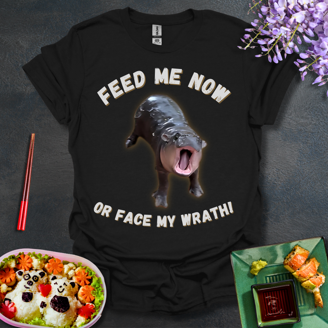 Face My Wrath! Softstyle T-Shirt