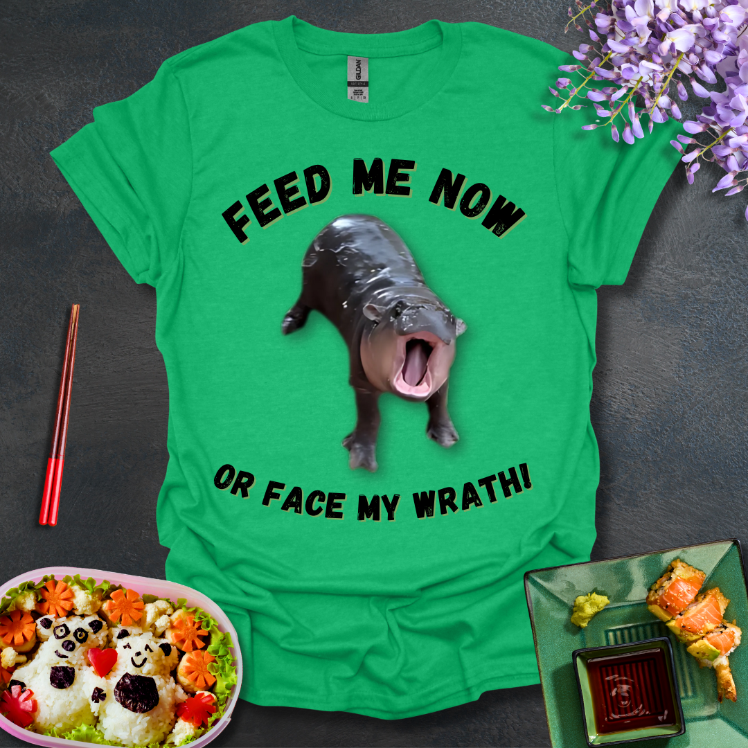 Face My Wrath! Softstyle T-Shirt