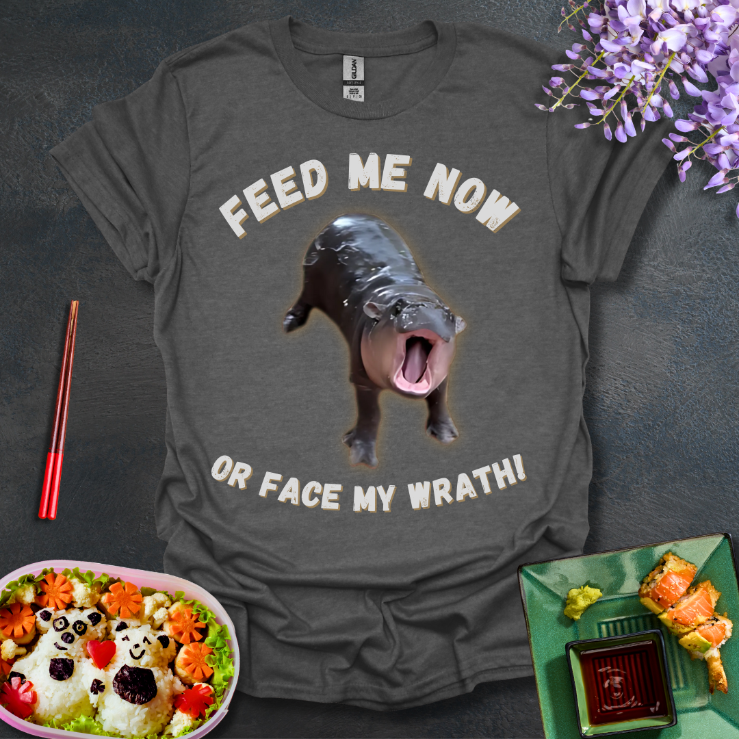 Face My Wrath! Softstyle T-Shirt