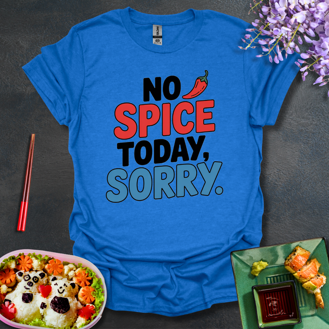 No spice Today Softstyle T-Shirt