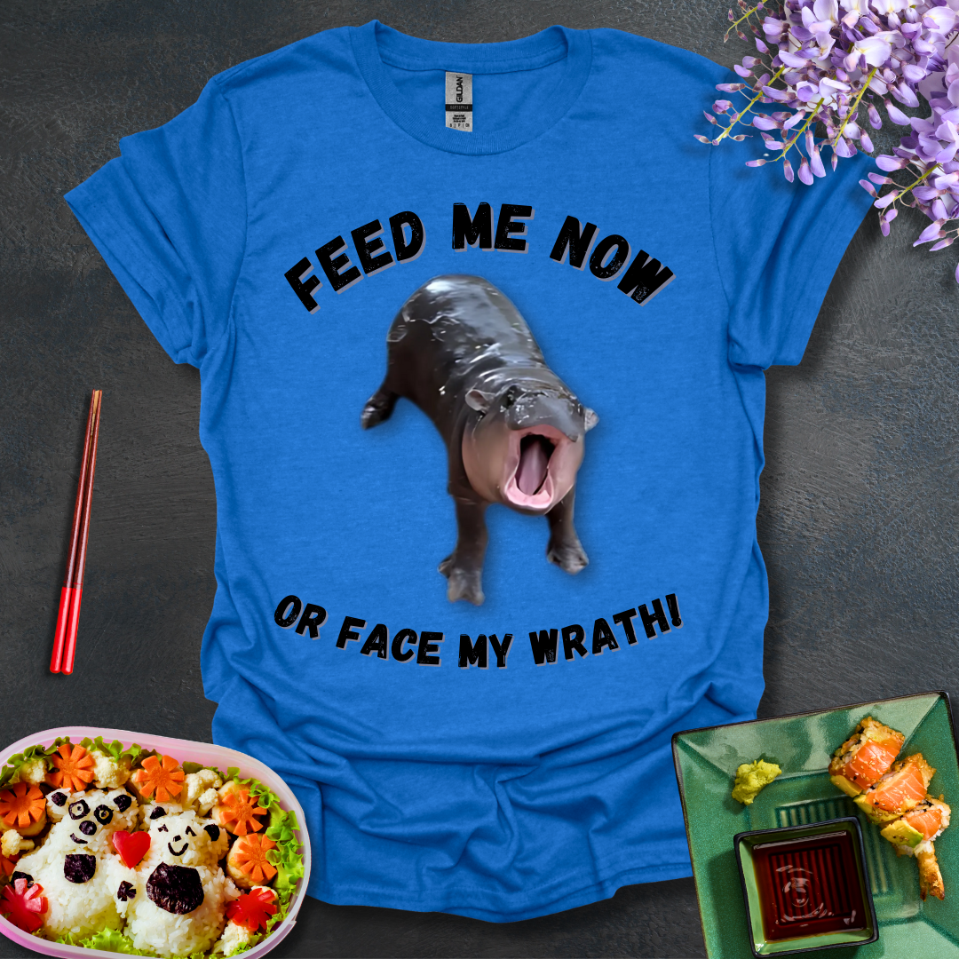 Face My Wrath! Softstyle T-Shirt