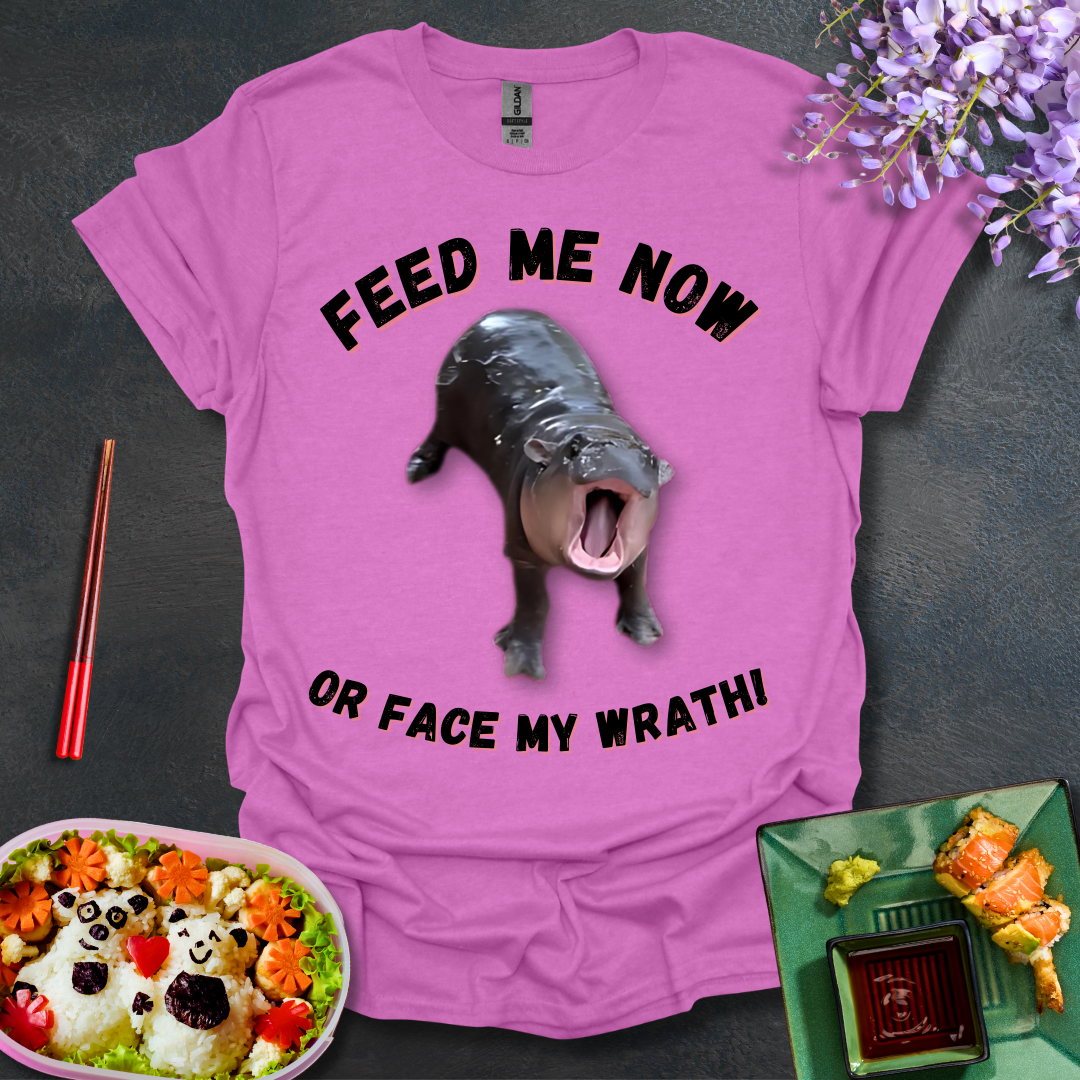 Face My Wrath! Softstyle T-Shirt