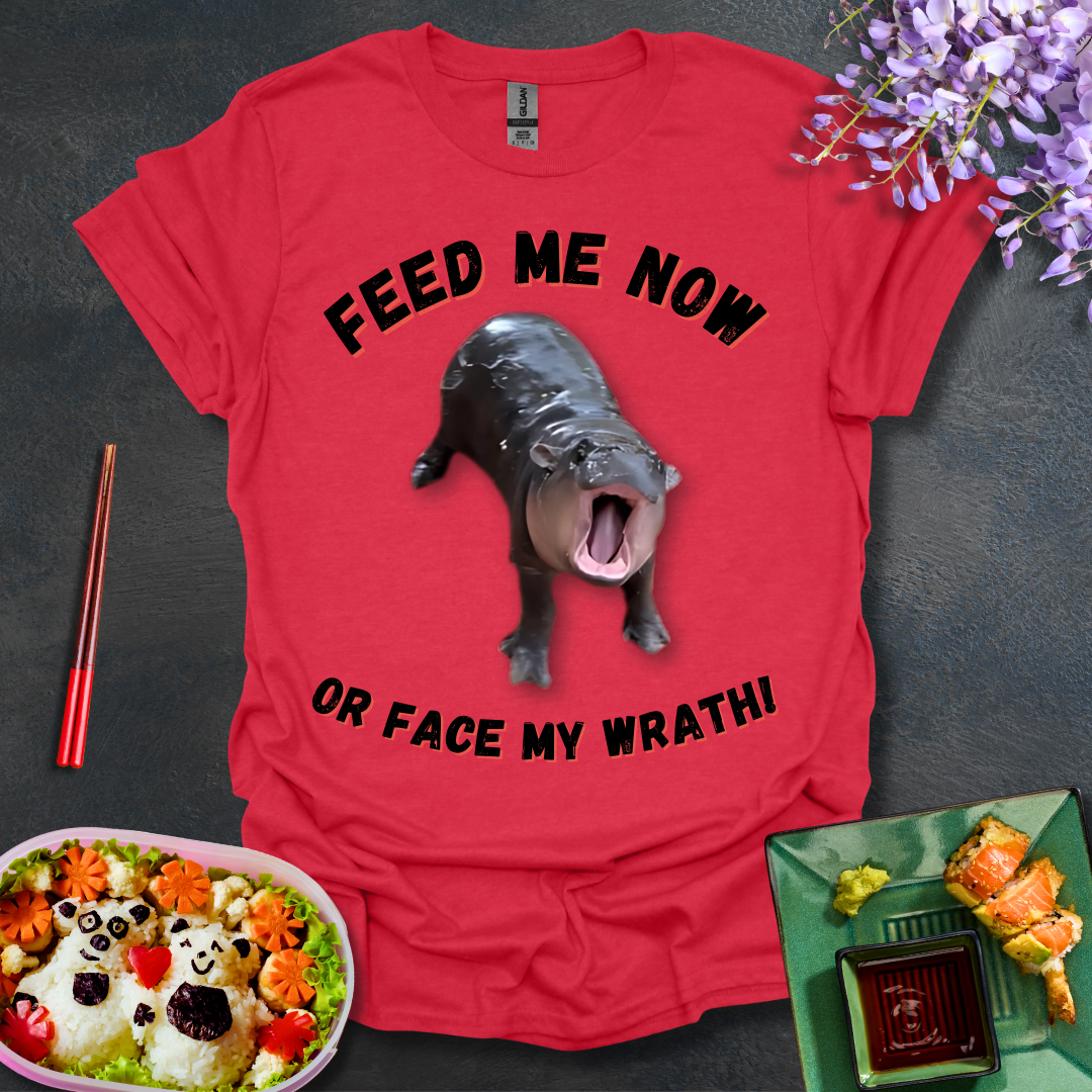 Face My Wrath! Softstyle T-Shirt